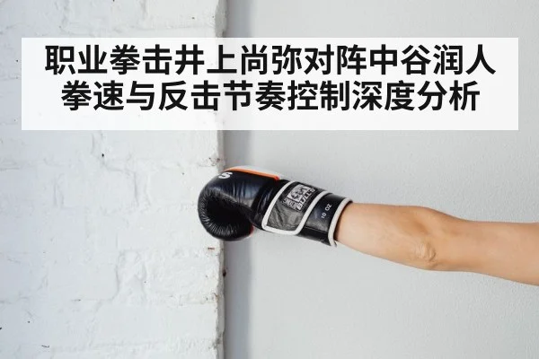 职业拳击井上尚弥对阵中谷润人拳速与反击节奏控制深度分析